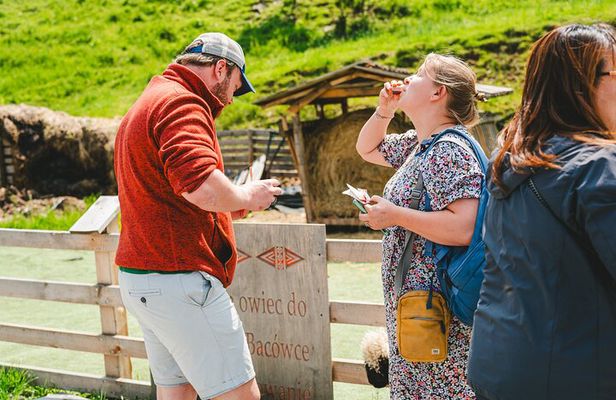 Krakow to Zakopane: Cable Car, Tasting and Thermal Baths Day Trip
