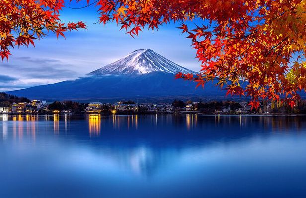 Mt. Fuji Private Day Trip from Tokyo with English-Speaking Driver