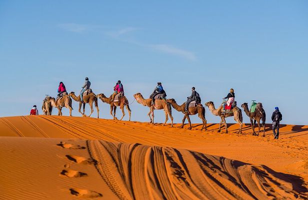Shared Merzouga Desert Tour from Marrakech (3 Days and 2 Nights)
