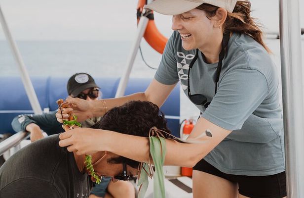 Eco-Raft Tour: Intro to Hawaiian History & Whale or Dolphin Watch