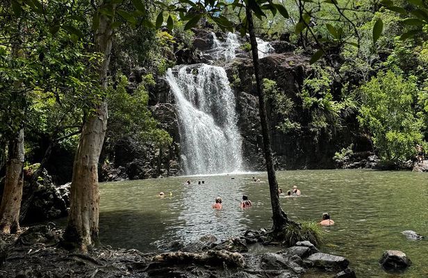 Airlie Beach: 3-hour Cedar Creek Small-Group Eco Half-Day Tour