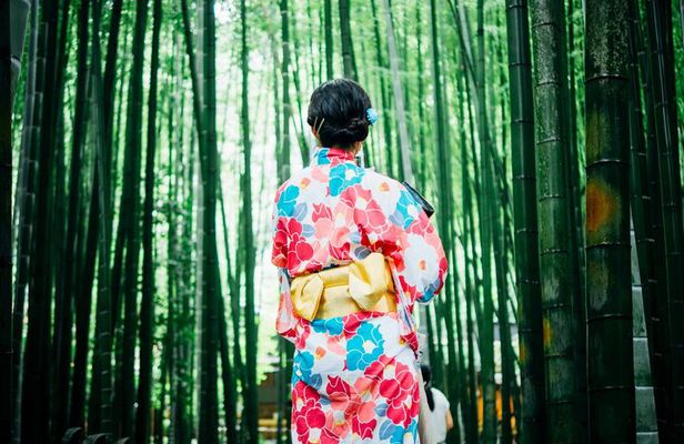 Kyoto: Arashiyama's Iconic Bamboo Forest, Temple & Bridge Tour