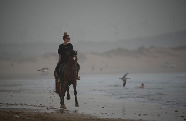 2 Hour Horseback Adventure in Essaouira