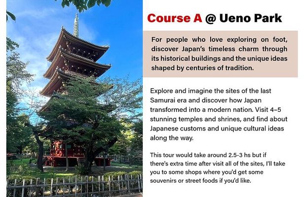 Tailored Tokyo private Tour with a Local Guide (10:00〜)