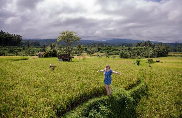 Tanah Lot Temple & Coastal Sunset Tour