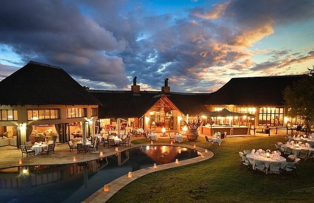 3 Days Ivory Tree Game Lodge Safari from Johannesburg OR Tambo