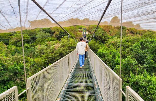 Aviary Tour and Tricao Park with Tasting in Undurraga Vineyard