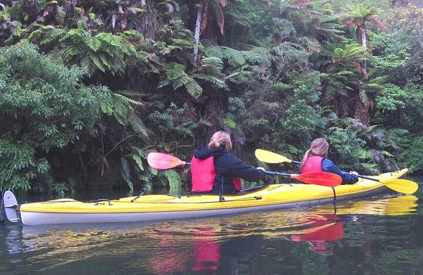 Glowworm Kayak Adventure on the Waikato River