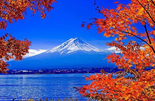 Mt Fuji Full Day Private Tour from Tokyo with English Driver