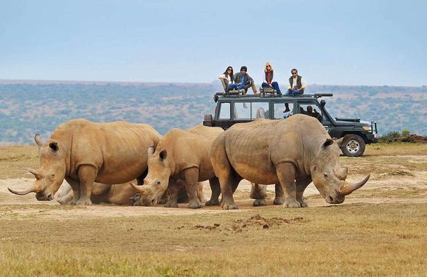 Rwanda's Only Group Safari to Akagera
