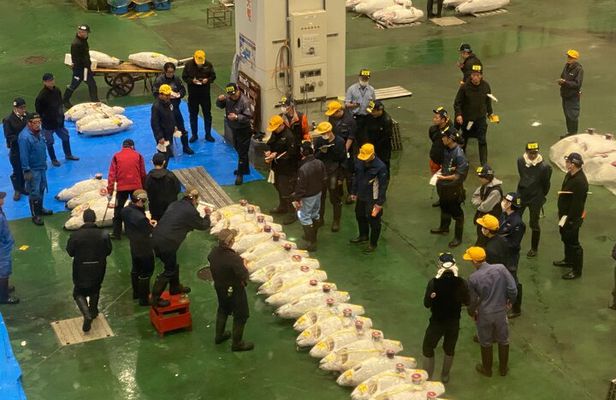 Tokyo: Tuna Auction at Toyosu & Tsukiji Food Walking Tour