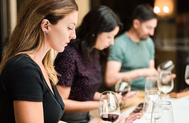 Haras de Pirque Private Vineyard Tour and Wine Tastings