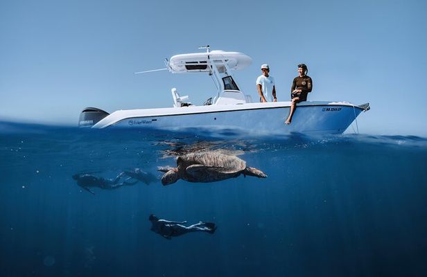 Turtle Canyon Snorkel in Waikiki, Oahu Semi Private