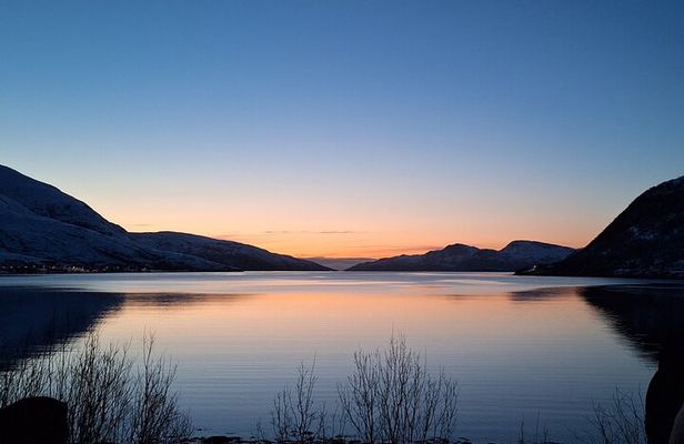 Tromsø: Arctic Fjord & Island Sightseeing — Small Group Tour