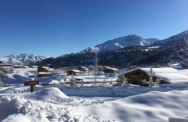 Amirsoy, Chimgan & Charvak Trip with Green Somsa and Tea