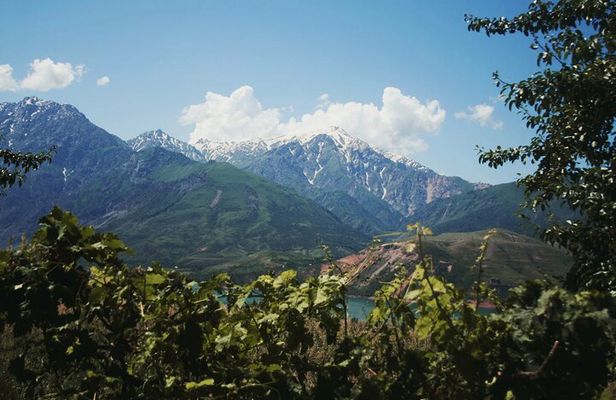 Amirsoy, Chimgan & Charvak Trip with Green Somsa and Tea