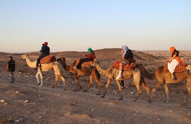 Sunset Camel Ride and Dinner with Live Gnawa
