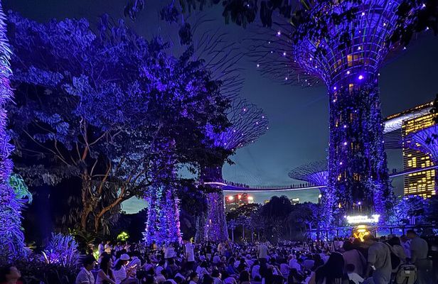 Garden Rhapsody, Spectra Show & Singapore River Cruise Night Tour