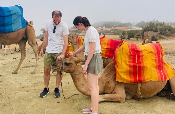 Bestseller TANGIER PRIVATE TOUR: Highlights, Camels & Old Town 