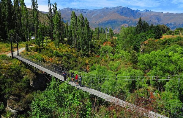 Electric Bike and Wine Tour Queenstown