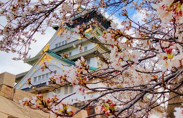 Osaka Castle & Temple Walking Tour with Multilingual Audio Guide