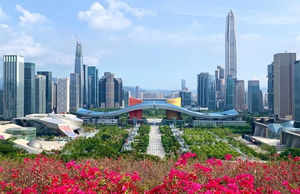 Shenzhen Innovation High-Tech Private Day Trip from Guangzhou
