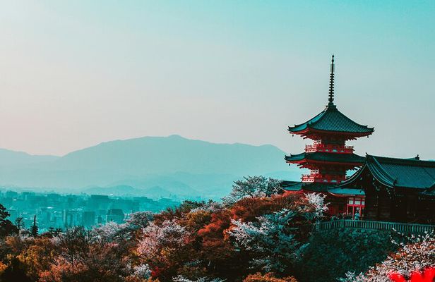 Kyoto Private Day Tour Experience Customizable to Sightseeing
