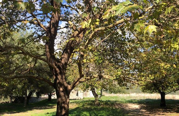 Old Religious Sites in the Sorroundings of Saranda