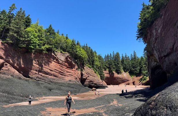 Shore Tours Saint John