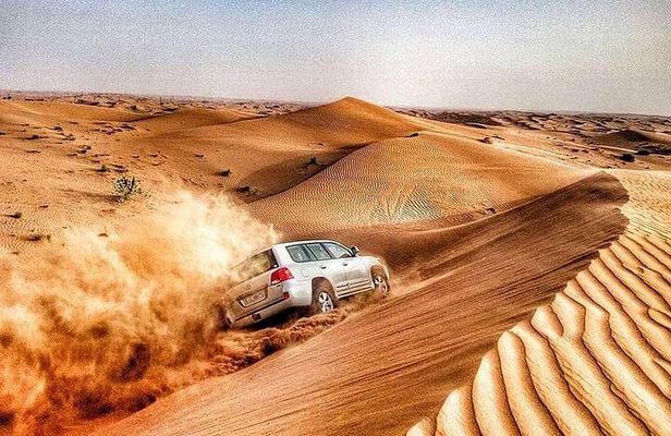 Dubai Red Dune Safari with BBQ Dinner and Camel Ride