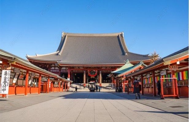 Private Tokyo Tour with English Speaking Driver