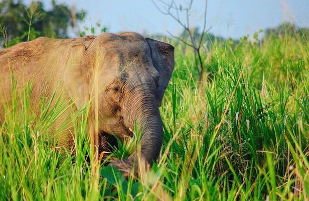 Hurulu Eco Park Safari