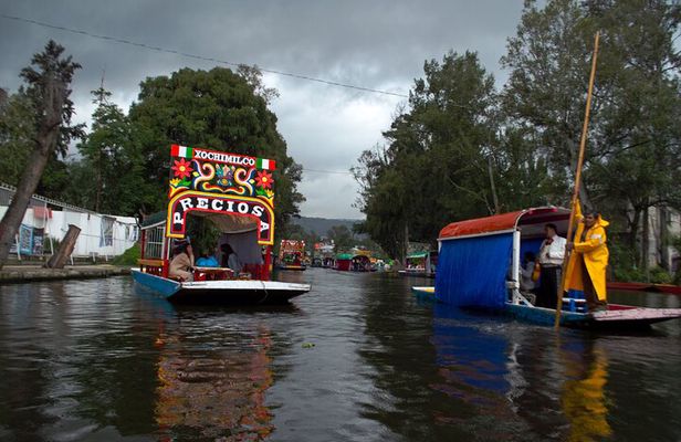 Xochimilco, Coyoacán & Ciudad Universitaria Tour