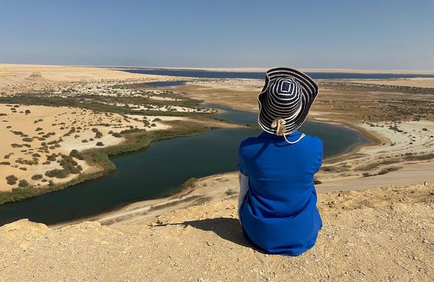 Fayoum oasis, whale valley, magic lake 10% to stray dogs &cats