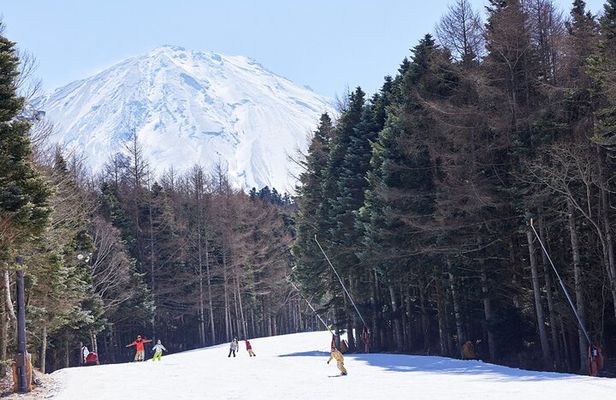 Mt. Fuji View with Fujiten Snow Fun & Oishi Park Tour from Tokyo