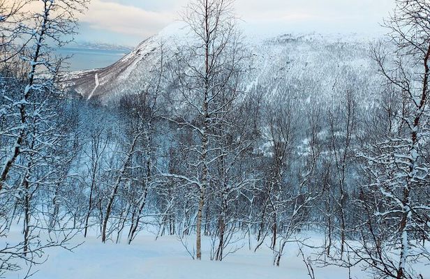 Guided Tromsdalen Snowshoe Adventure Starts Here