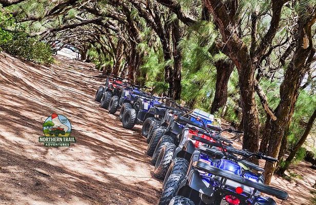 Northern Trail ATV Adventure in Barbados