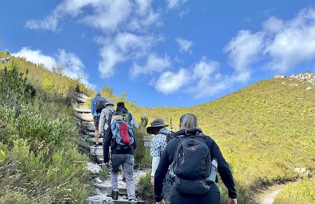 Hermanus Guided Nature Excursions