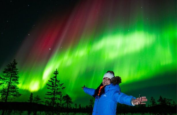 Rovaniemi Northern Lights Tour with Guaranteed Viewings