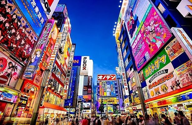  Tokyo Private Tour with English Speaking Driver Customizable