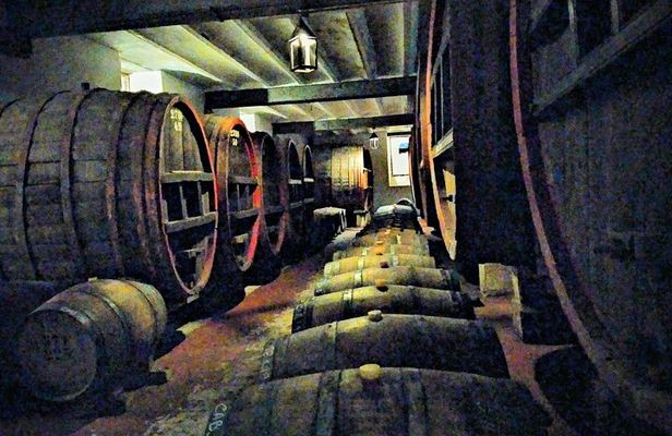 Wine Tour in Colonia del Sacramento History and Tastings