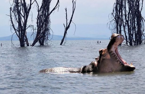 Day Trip Hells Gate Bike Ride and Lake Naivasha Boat Ride