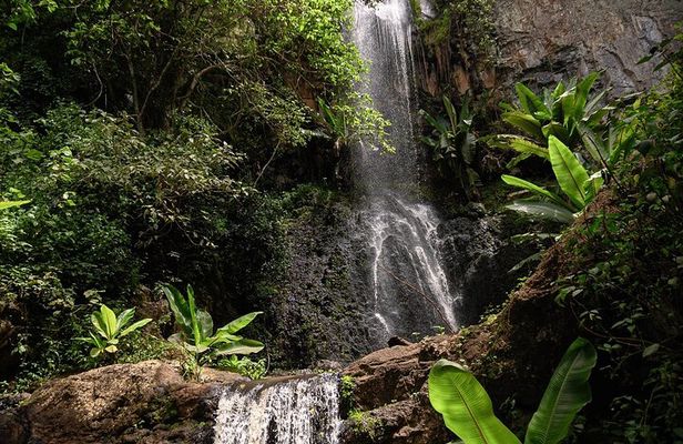 Endoro Falls and Forest Trail Experience