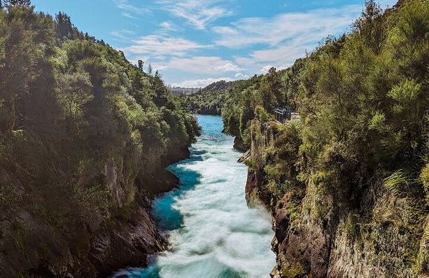 Rotorua to Auckland via Taupo and Hamilton Gardens Tour (one-way)