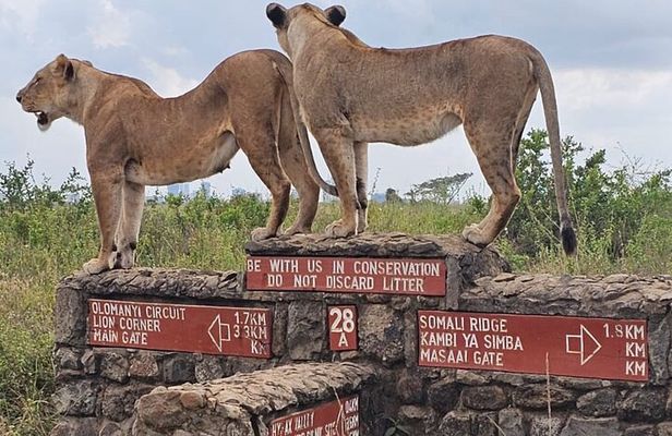 Nairobi: National Park and Giraffe Center Half Day Tour