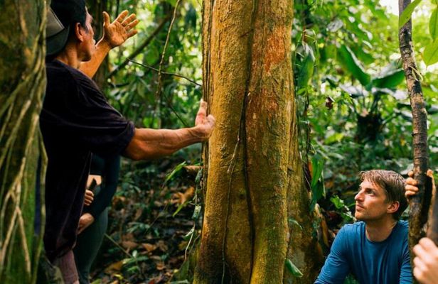 Ticote Medicine Farm Tour 