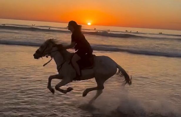 Beach Ride in Tamraght and Taghazout