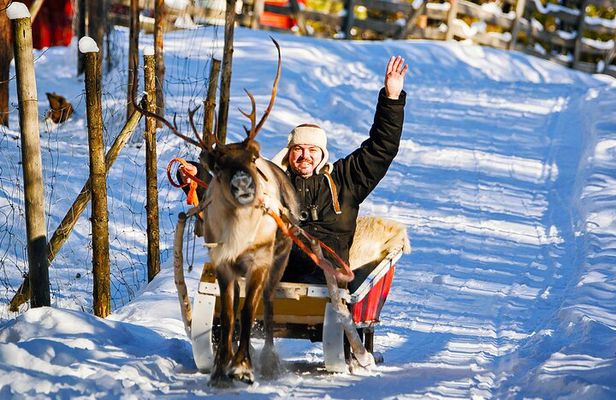 Rovaniemi Reindeer and Husky Ride with Transfers