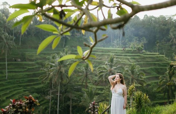 Ubud Highlight: Best of Ubud Private Day Tour with Local Guide
