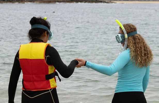 One on One Snorkel Experience